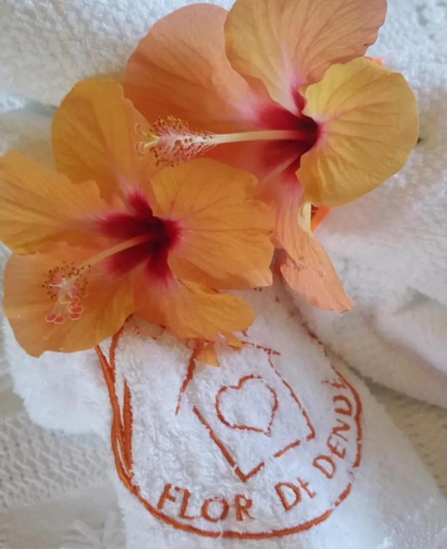 Casa Flor De Dende, Serra Grande, Bahia Villa Serra Grande