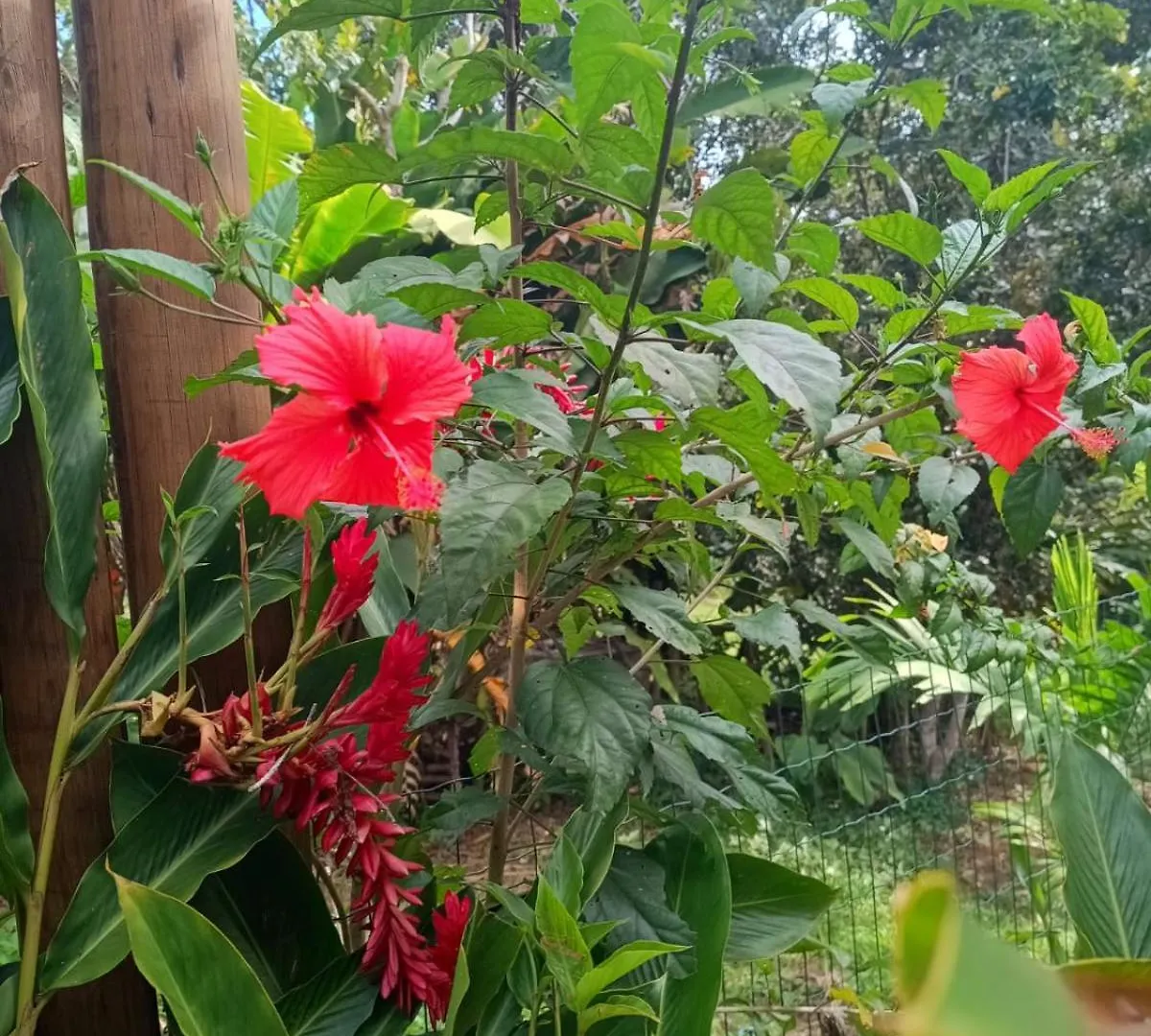 Holiday home Casa Flor De Dende, Serra Grande, Bahia Villa Serra Grande